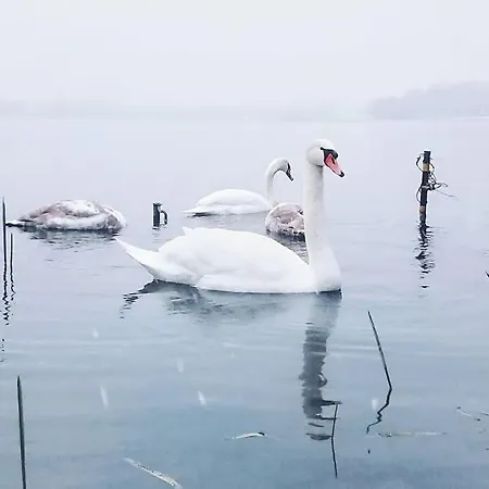 Z Ogrodem I Jacuzzi شقة *