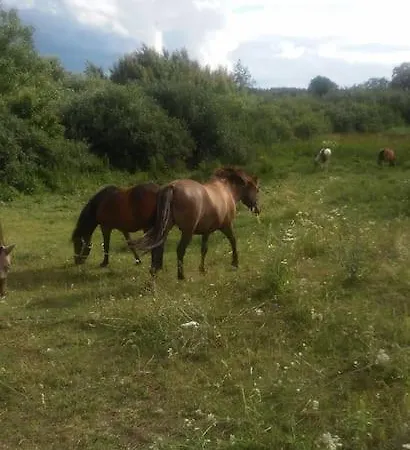 شقة Z Ogrodem I Jacuzzi