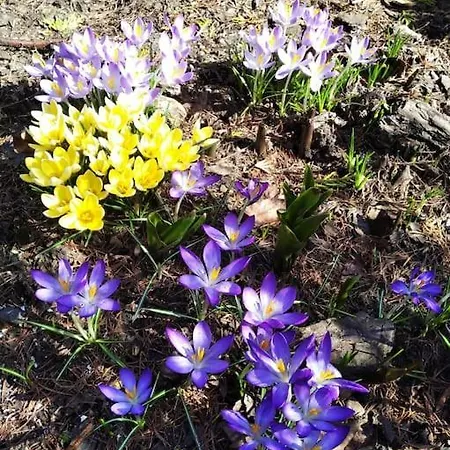 Z Ogrodem I Jacuzzi شقة Kiezliny