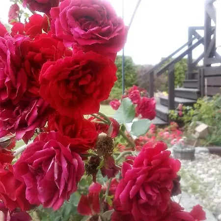 شقة Z Ogrodem I Jacuzzi *